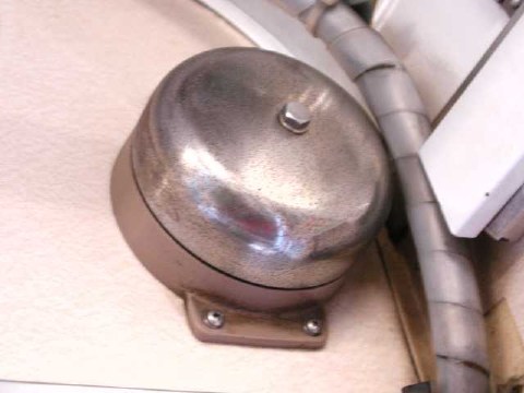 ちんちん 2003/12/29-1