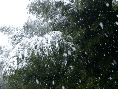 うちの裏側... 2004/01/17-1