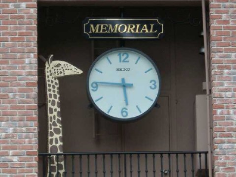 05時46分 2004/01/17-3