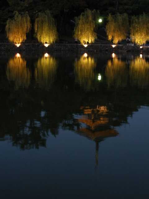 さかさ塔 2004/01/30-1