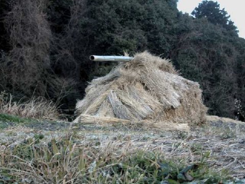 擬態？ 2004/02/08-3