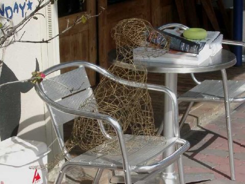 おすわり 2004/02/09-1