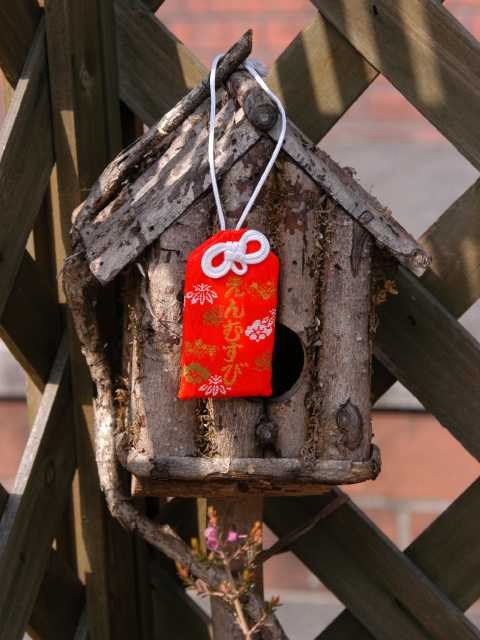 とりさんにもご縁を？ 2004/02/15-3