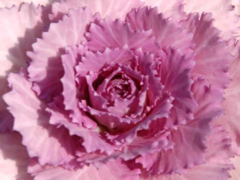 画面いっぱいに 2004/02/20-3