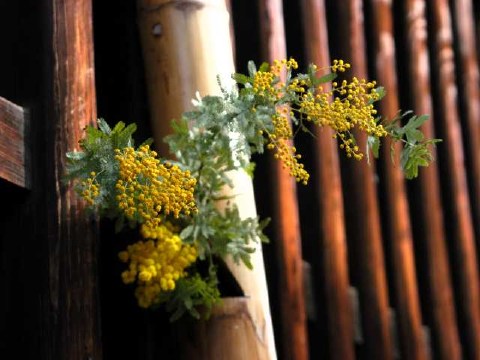 春の色 2004/02/25-2