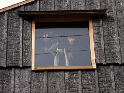 額に入った... 2004/02/26-1