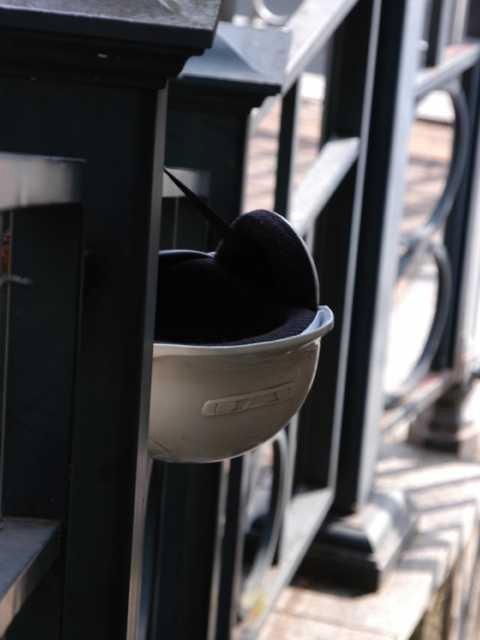 門戸にぶら下がる... 2004/02/27-1