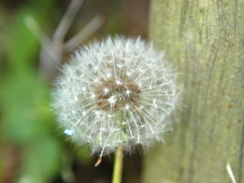 気が早いねぇ... 2004/03/02-1