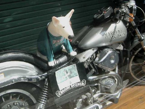 横向いていると落ちるよ (笑 2004/04/14-1