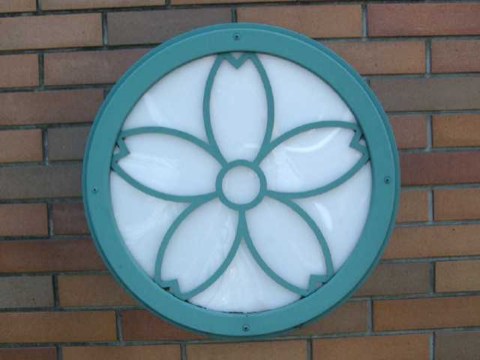 今日のさくら 2004/04/20-2