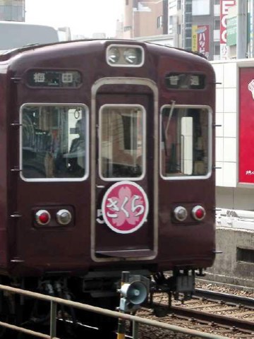 さくら 2004/04/22-1