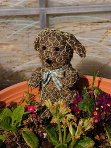 育つ？ 2004/04/29-1