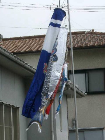 こいのぼり 2004/05/02-2