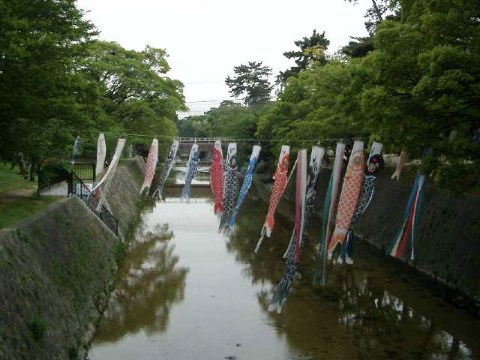 こいのぼり 2004/05/03-1