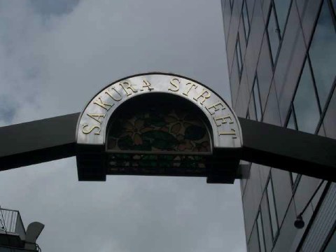 さくら通り 2004/06/24-1