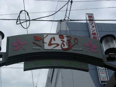 さくら通り 2004/07/03-4