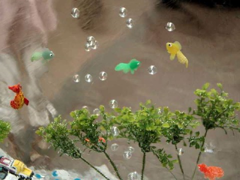 水族館 2004/07/25-1