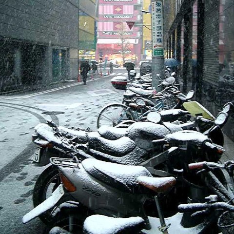 雪景色1 2004/12/31-2