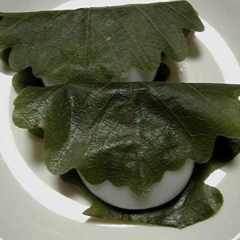 季節を先取り... 2005/01/24-1