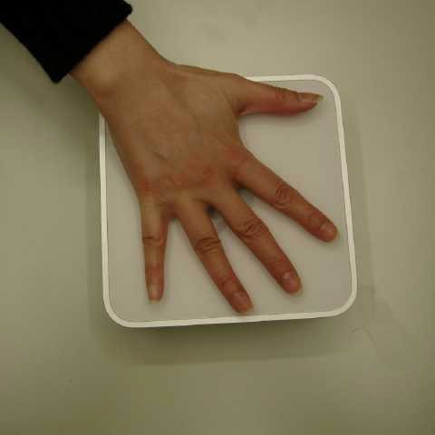 サイズ比較 2005/01/29-1