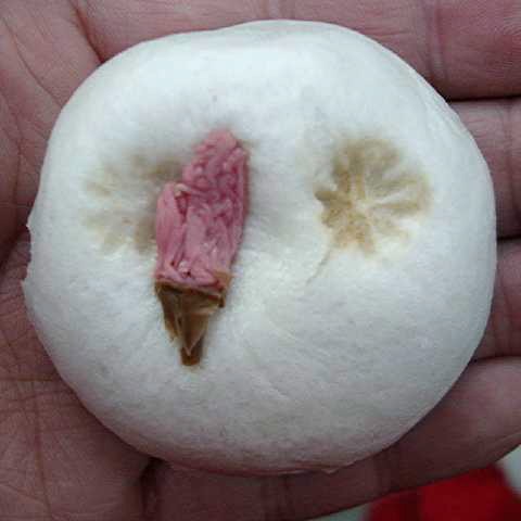 さくら饅頭 2005/03/25-1