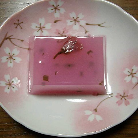 夢ざくら 2005/03/30-1