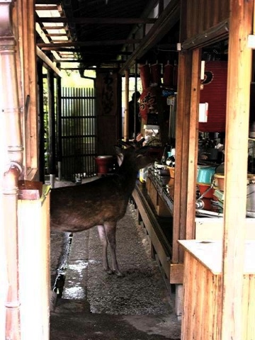 お客さん、もう終わりですよ 2005/09/23-1